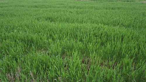 ������������������С��������