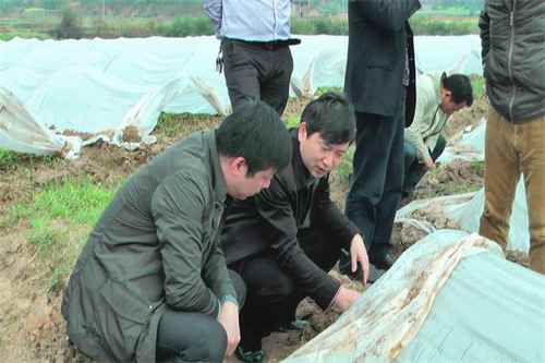 ���ϣ����������س������������ͷָ������