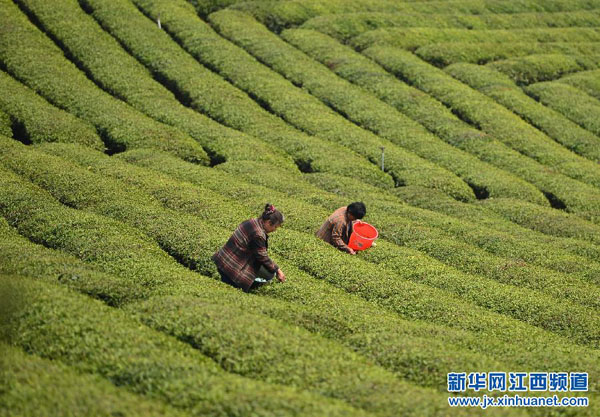 ���������裺��ˮ�������Ʒ��