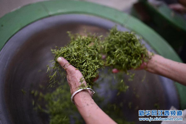 3��25�գ���ˮ�غ�����˫����ɽ�Ȳ賧�����ڳ��Ʋ�Ҷ