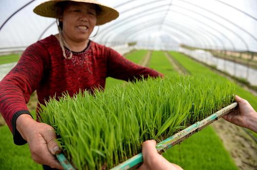 ��������������ӭ����