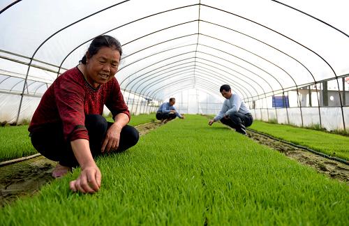 3��27�գ����Ҵ�ũ���������������������硣