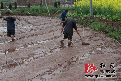 ����������´���æ����2