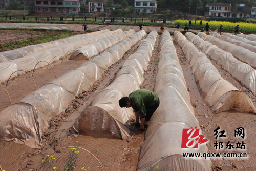 ����������´���æ����3