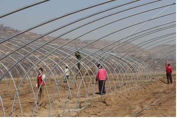 �����ˮ����Ⱥ������ �����¸���