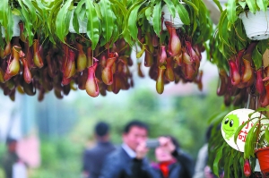 ������ũҵ���껪����Ƽ�������