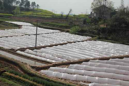 3��25�գ��������Ĥ���絾����