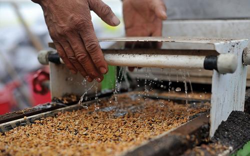 �ں���ʡ�����أ�һλũ�����ˮ��������ˮ�ߵ�ˮ����3��28���㣩