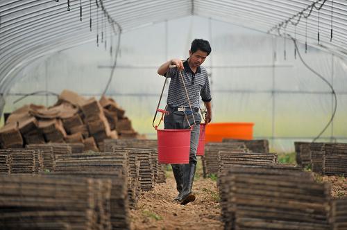 �ں���ʡ�����أ�һλũ��׼��ˮ��������ˮ�������ˮ��3��28���㣩��