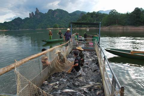 ����̩���������л����ֻ����