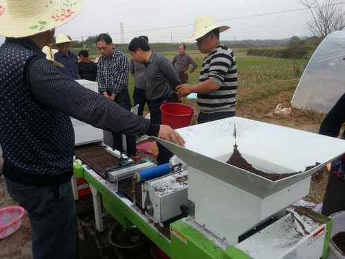 ����������ˮ̲����ˮ����е������