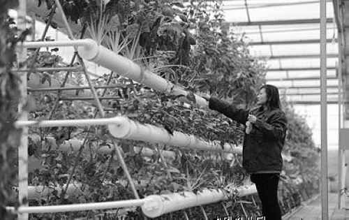 ������ɽ�д��조�߲�������