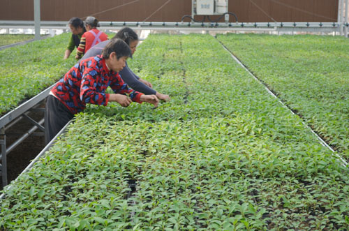 �Ĵ����������ʻ�԰Ԥ��5�¿�԰