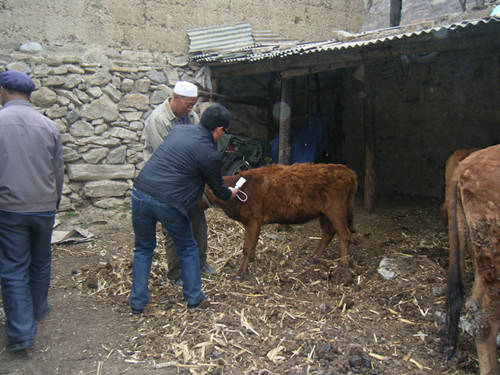 ����崲��سǹ�������ҽվȫ����ж����߲�����