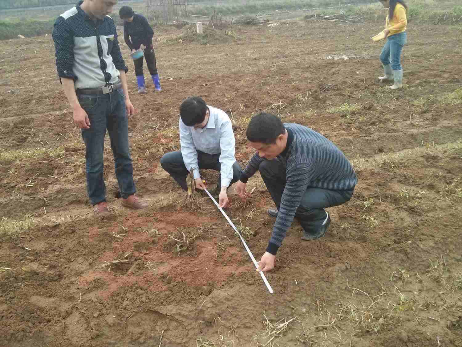 �������֣�פ��Ѳ�壬ָ����������ֲ