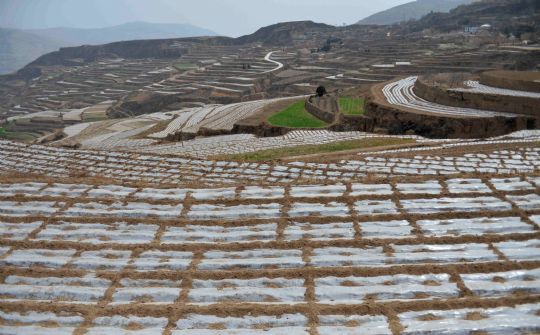 ����ʹȣ���Ĥ����æ����