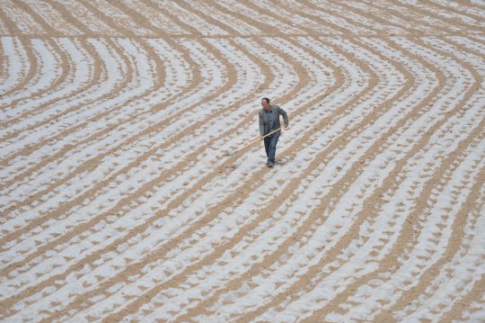 3��28�գ��ʹ��ذ�Զ����ƺ���������ƽ�ڵ������Ĥ�������