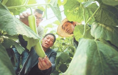 �������ǽ�ǧĶ����ũҵʾ��԰