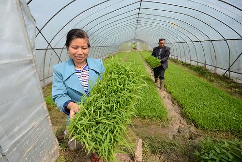 ���������������������ƽ�