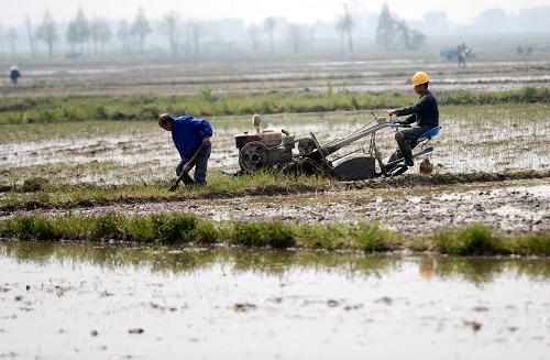 4��1�գ��ϲ��������籱����ũ����ƽ���絾�