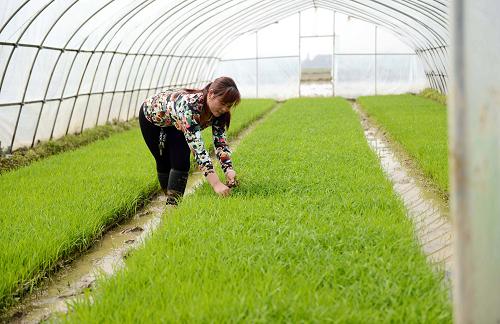 4��1�գ��ϲ��������籱�������ũ��ũ������רҵ�������Ա���������絾���̡�