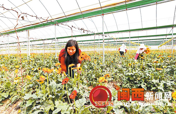 ������͡����ȺӢ������ͥũ������ũ���¸�