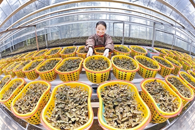 �������ң��������ֽ����� ��ɫ������׬Ǯ