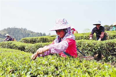 �������ң����硰������