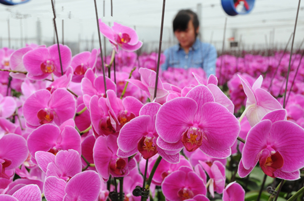 �������壺������Ʈ��ũ��԰