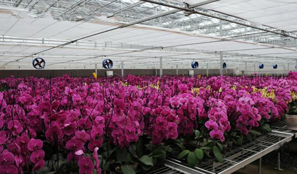 ���������ִ����������ھ��࿪��