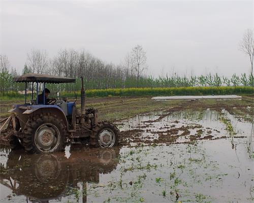 ����������ͨ�����絾���﷭��ƽ��ȫ��չ��