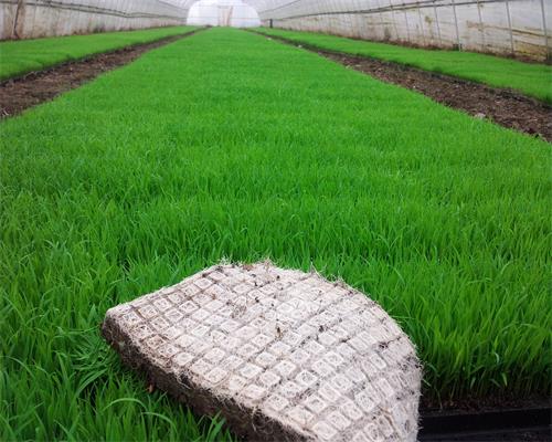 �絾��������ﵽ�ϻ�����Ҫ��