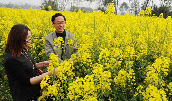 �Ĵ���ʤ��6000��Ķ�Ͳ˷�������