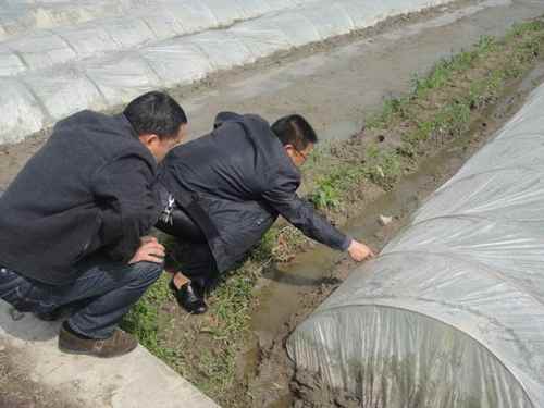 ���ϴ�����ũҵ�ֻ���Ϊ˫������ֲ�����ǽ���2