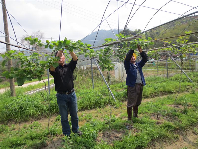 ������Ϫ�أ�⨺��ҳɡ��³衱