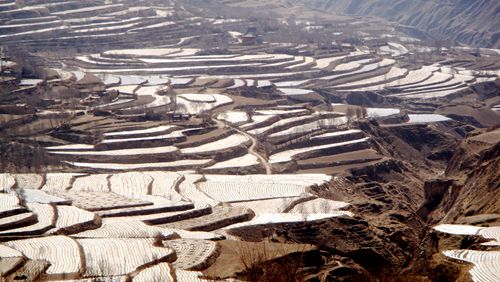 ��������������ͷ���֡�����