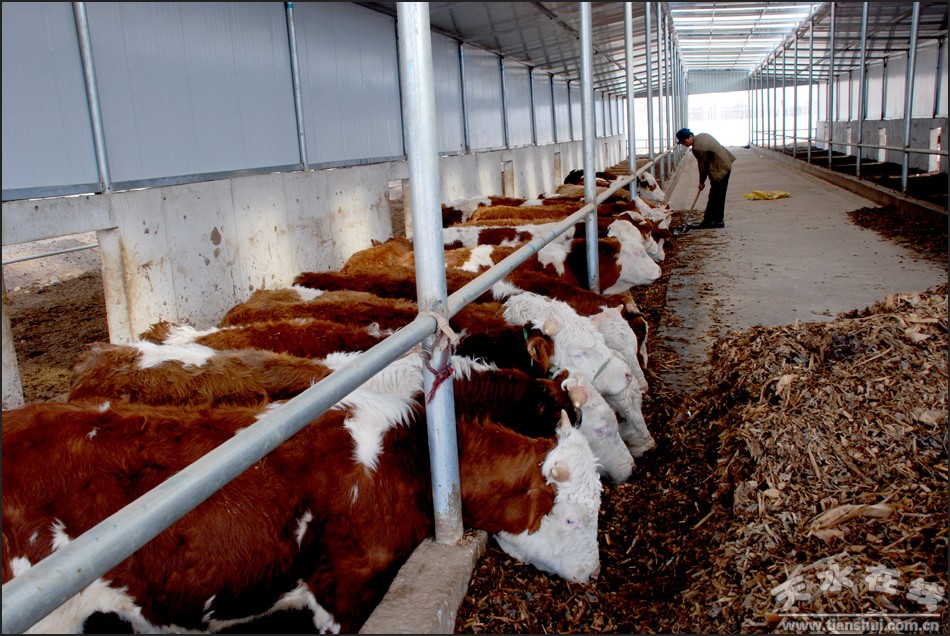 ������ɽ����ҵ��չ����쳵��