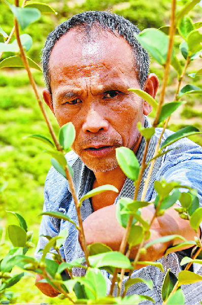 ������͡�أ����ϱ����ˡ� ���µ��Ͳ賤��ϲ��