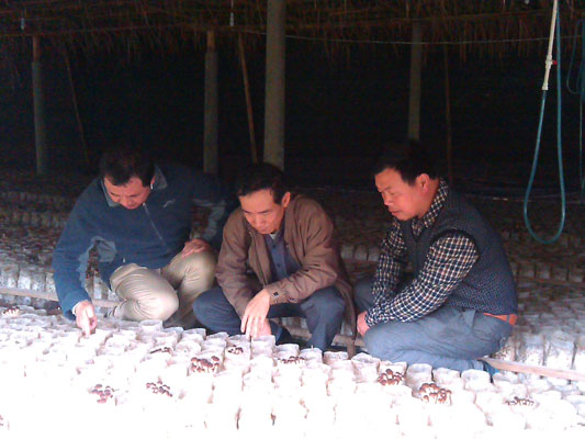 ���������д����ƹ�������޹������༼��