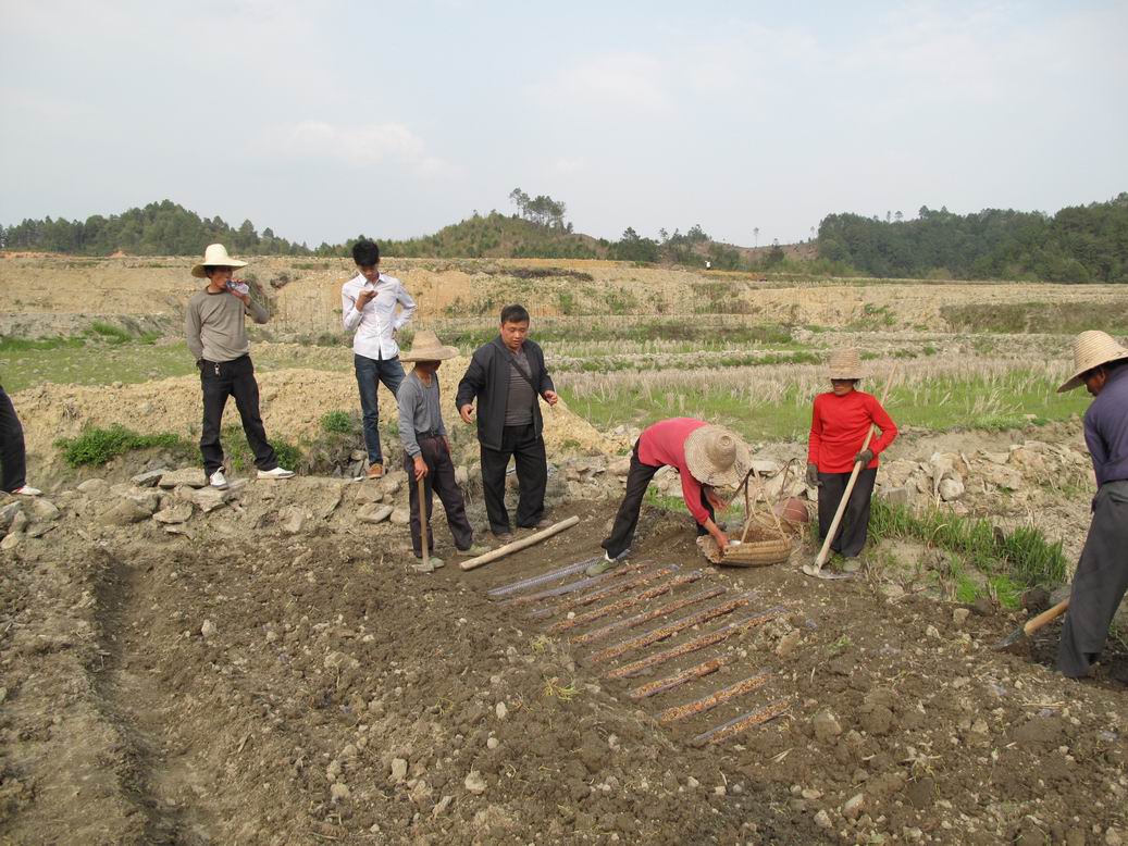 ������Ϫ�أ��ų��ֳ�ָ����ɽǳ�����༼��