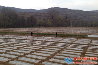 ������������ɺ���ũҵ6.8��Ķ