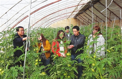 ����������ũҵ������Ա��������ͷ��չ����ָ��