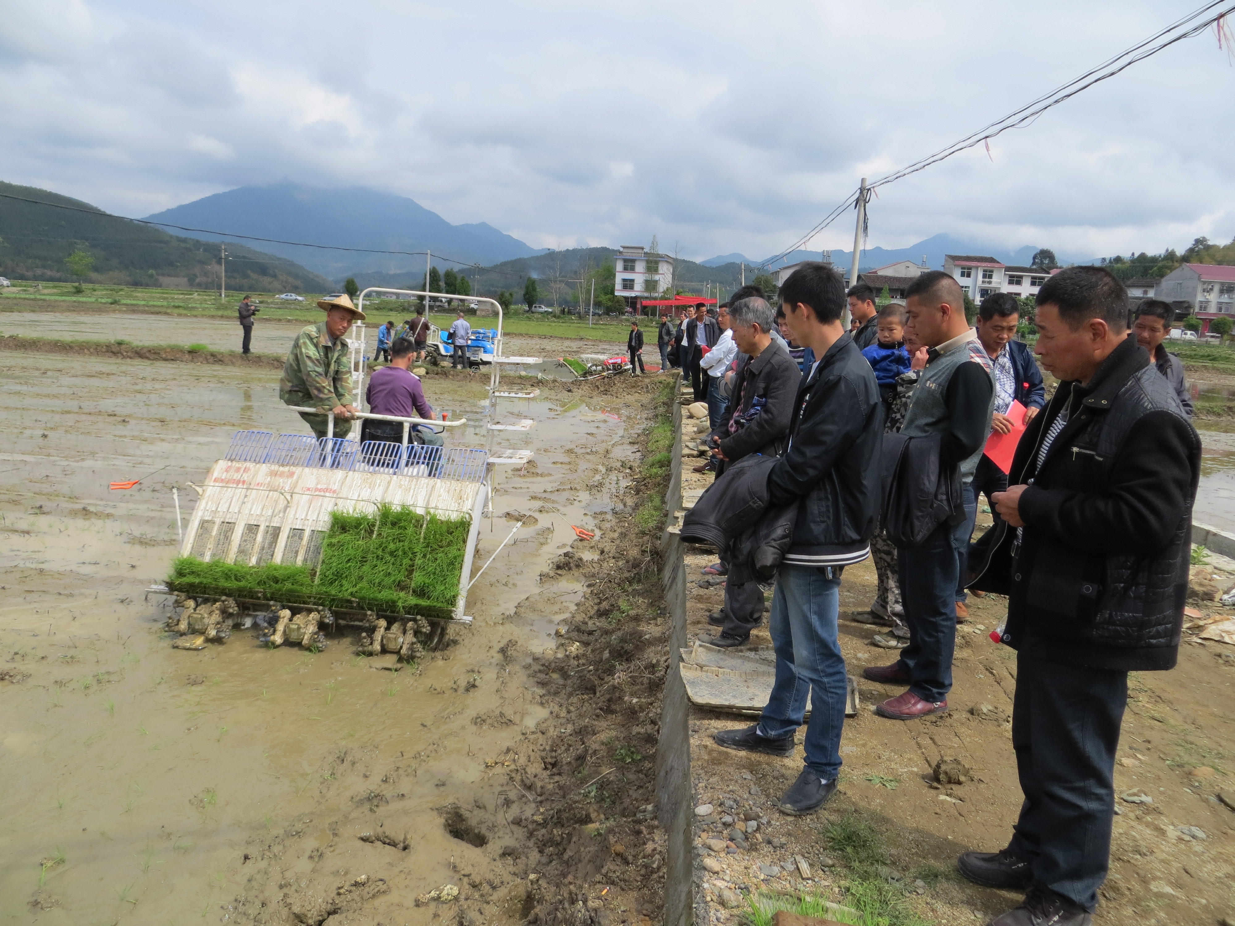 ���������о��С����·���ٴ�������ֳ���