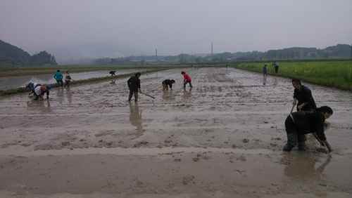 ���Ͼ��������𴺸������ȳ�