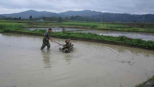 ���Ͼ��������𴺸������ȳ�2