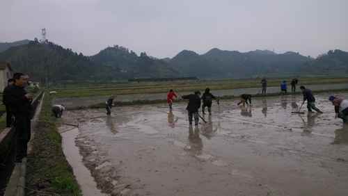 ����׼��