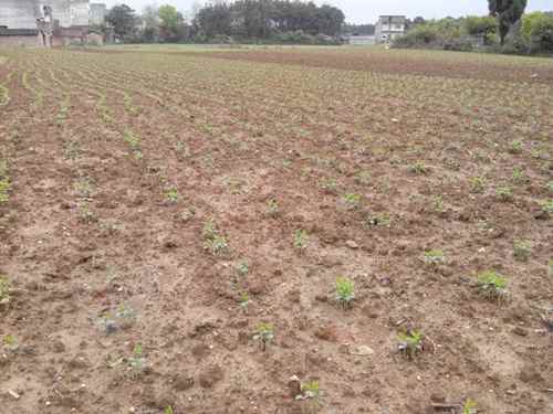 ���ϵ��ش�������ȡ�ý׶��Գɹ�