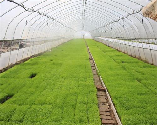 ���ϴ�ͨ����ǧɽ�����絾������������ʵ�ƽ�