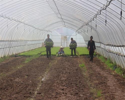 ũ����������