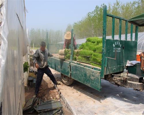 ũ����������